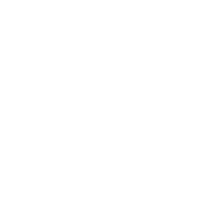 Guide Homo Faber